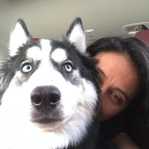 Meet your Posher, Ingris